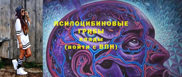 винт Алексеевка