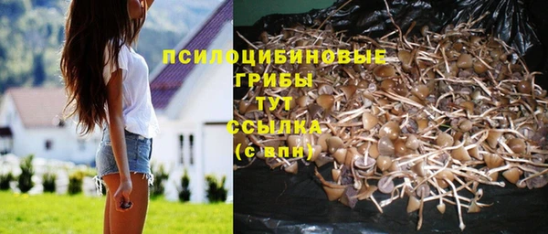 винт Алексеевка