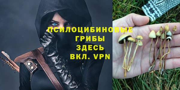 винт Алексеевка