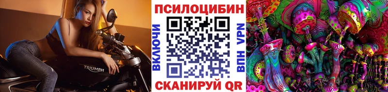 мориарти клад  Амурск  Галлюциногенные грибы Magic Shrooms  где найти  